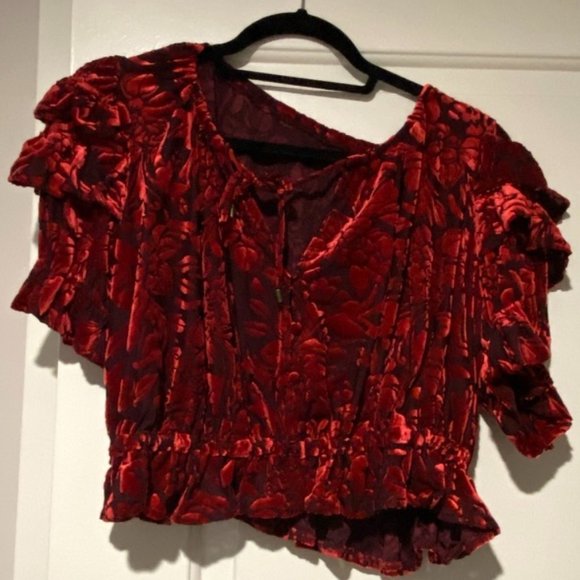 FREE PEOPLE Floral Velvet Ruffled Puff Sleeve Top - Picture 5 of 7